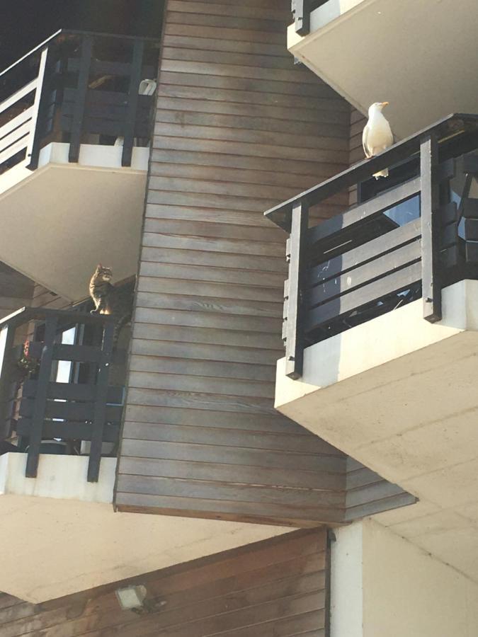 Mon Balcon Face A La Mer - Les Marinas ドーヴィル エクステリア 写真